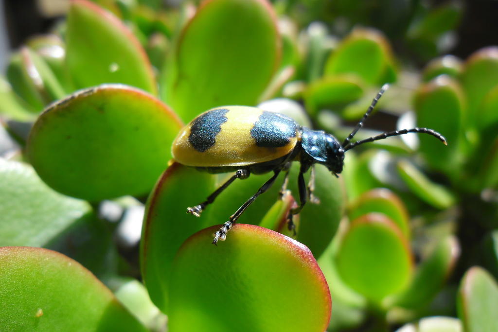 Rinconcito Verde Ujarrás Εξωτερικό φωτογραφία