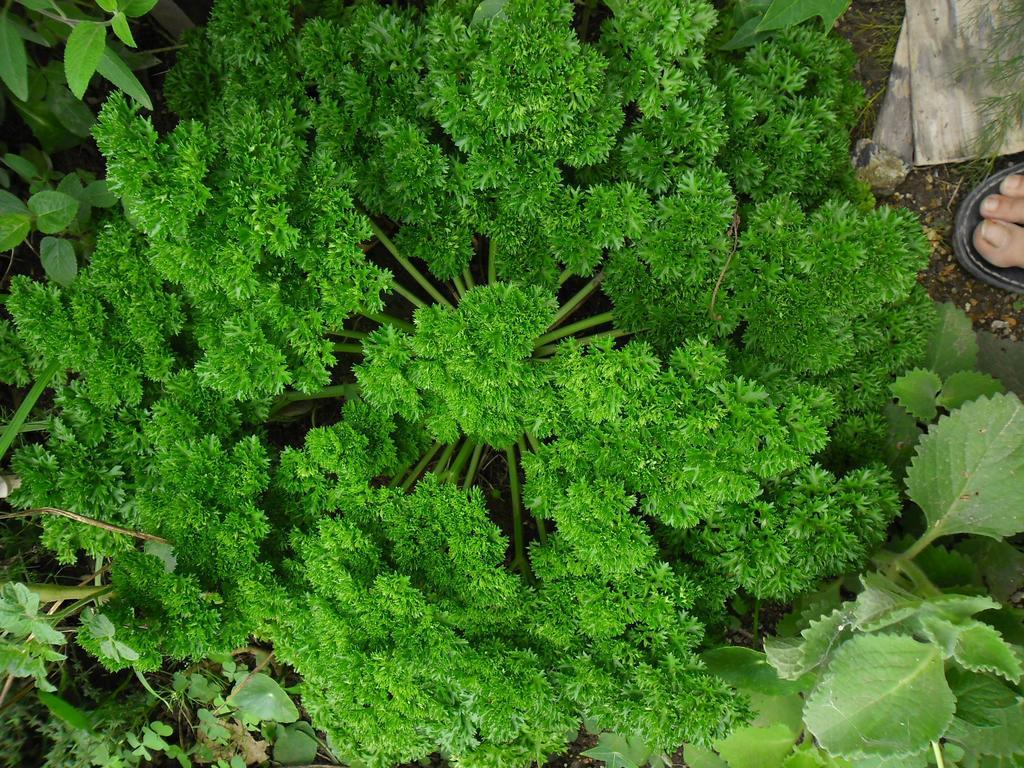 Rinconcito Verde Ujarrás Εξωτερικό φωτογραφία